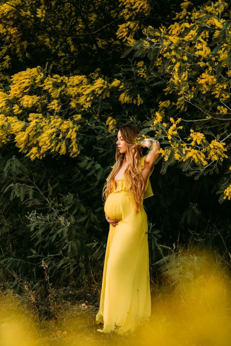 shooting grossesse dans les mimosas
